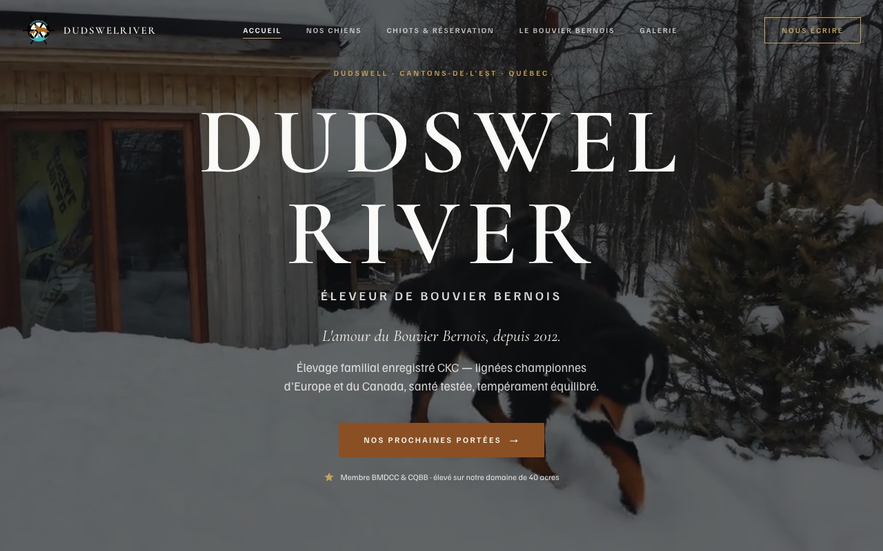 Site web Dudswelriver — Éleveur de Bouvier Bernois